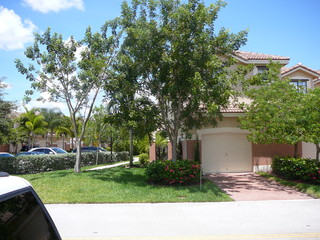 Main Photo